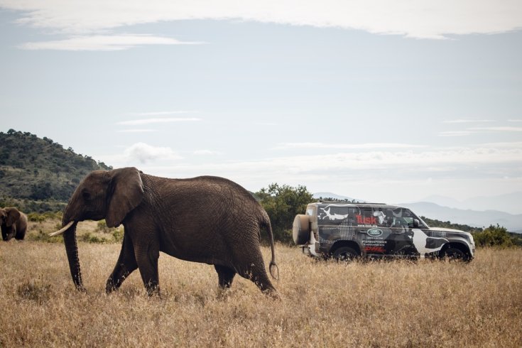Land Rover Defender 2019 elefánt