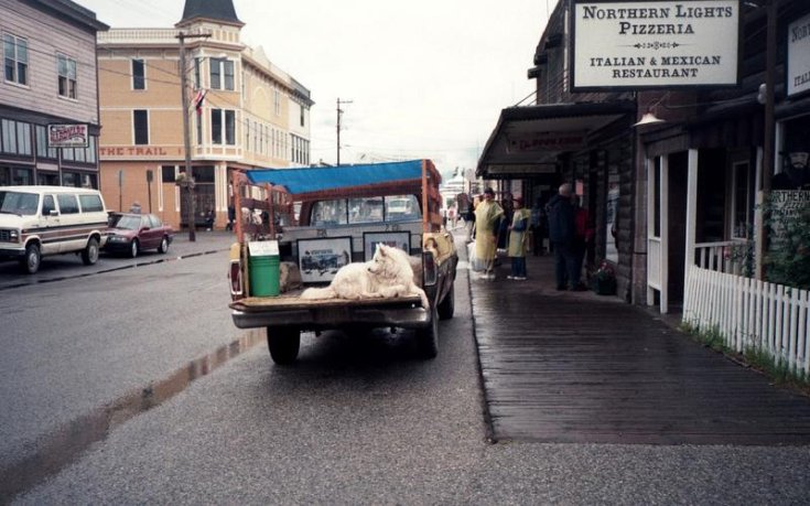 Kutyák Alaszkában