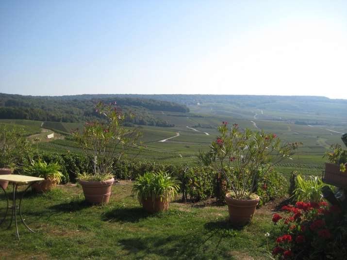 Champagne, Franciaország