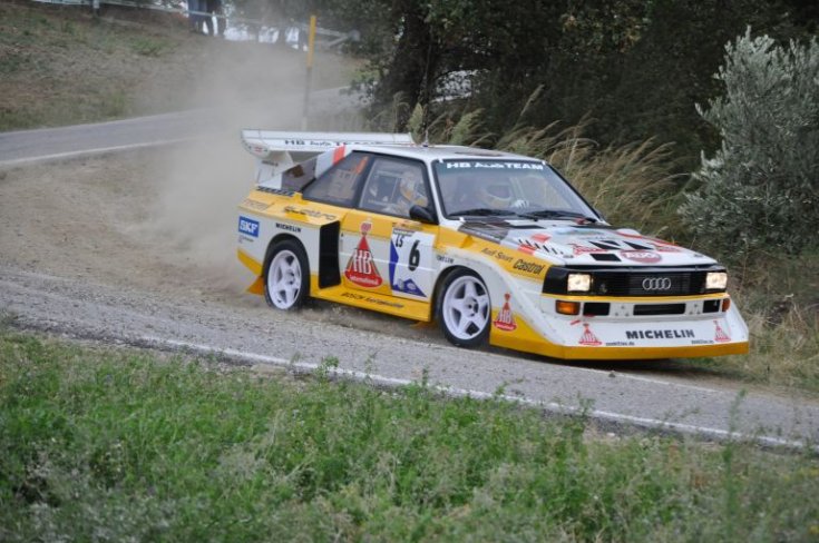 Audi Quattro terepralin