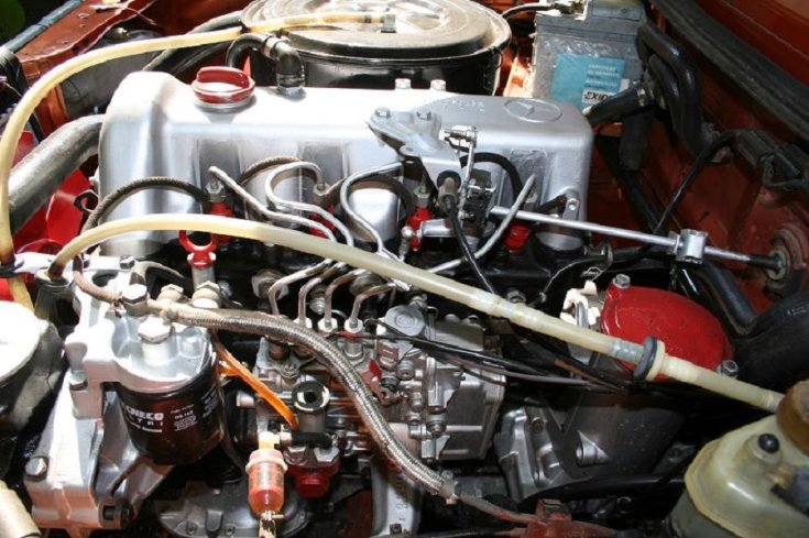 OM616