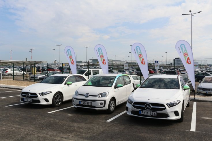 Mol Limo flotta