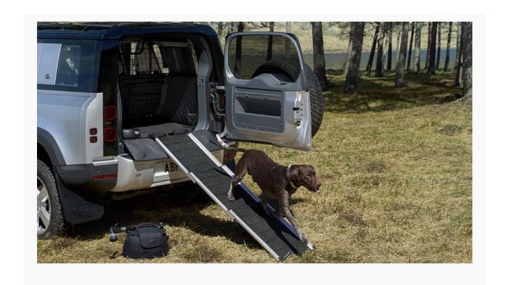 Land Rover Defender 2020 kutyarámpa