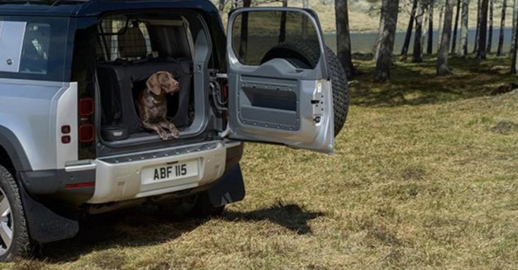 Kutyabarát Land Rover Defender kiegészítő