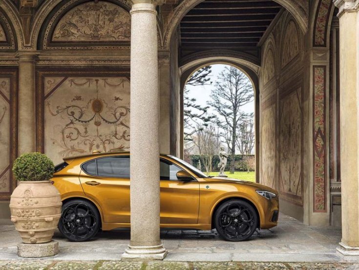 Stelvio QV 2020