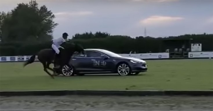 A Tesla Model S és egy versenyló párviadala