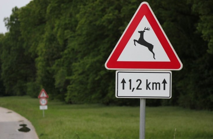 vadveszélyre figyelmeztető tábla