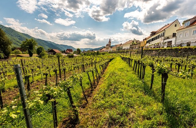 Wachau