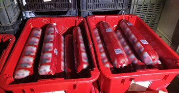 Hűtés nélküli párizsi szállítmányt csípett el a NAV
