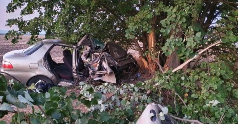 Vizsgálják, miért csapódott fának az autó Galgahévíz térségében