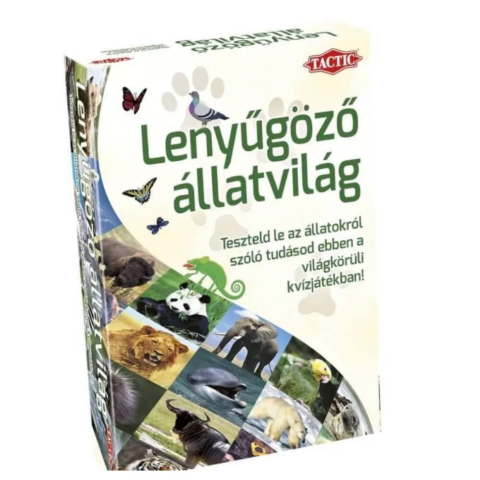 Milyen társasokkal játszunk a gyerekekkel?